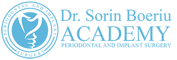 Sorin Boeriu Academy Logo